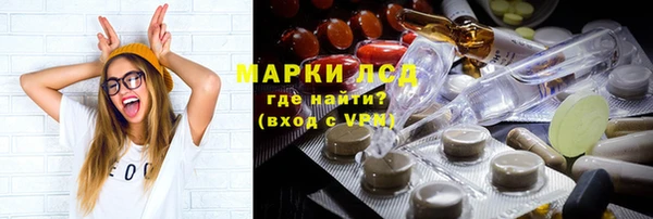 герыч Тайга