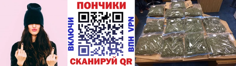 где можно купить ОМГ ОМГ ONION Шишки марихуана семена Грозный